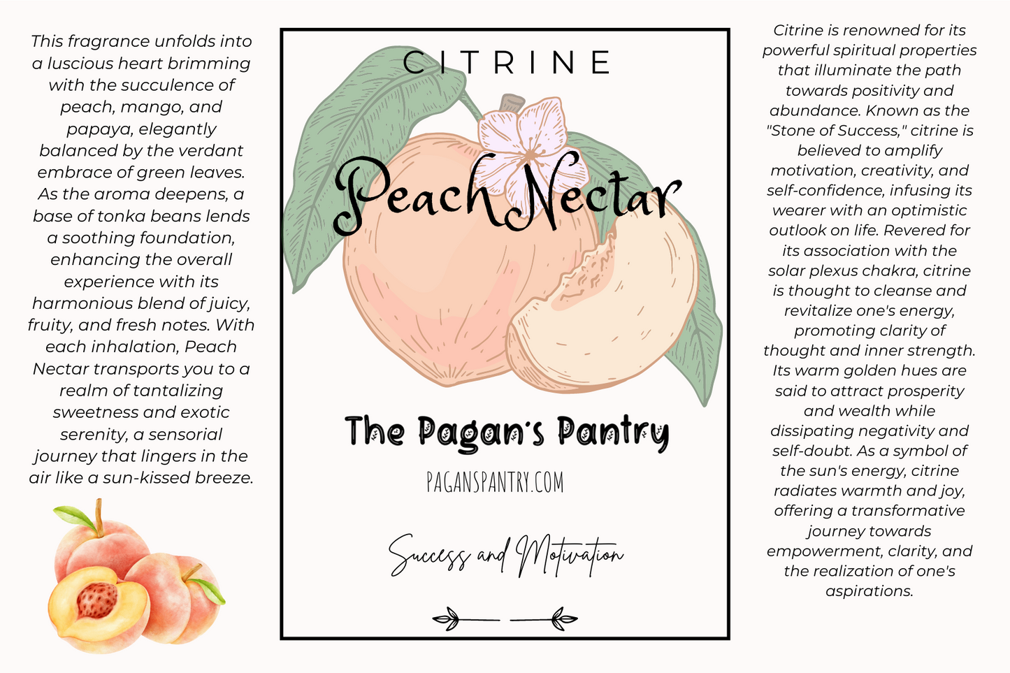 Sunlit Success ~ Peach Nectar Scented Body Wash