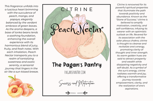 Sunlit Success ~ Peach Nectar Scented Body Wash